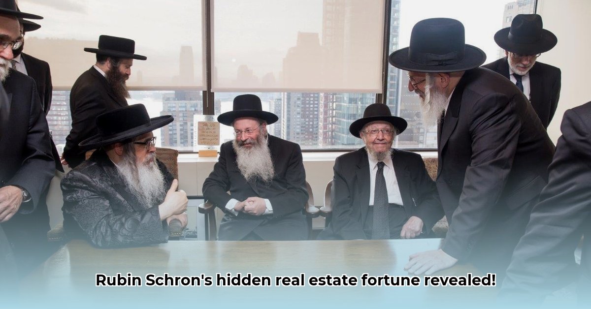 rubin-schron-net-worth